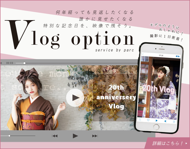 Vlogオプション