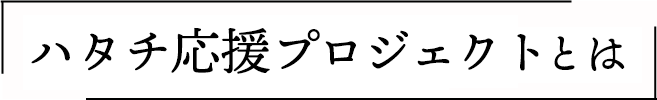 振袖無料体験会とは