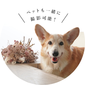 ペットも一緒に撮影可能!