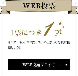 WEB投票 1票につき1pt