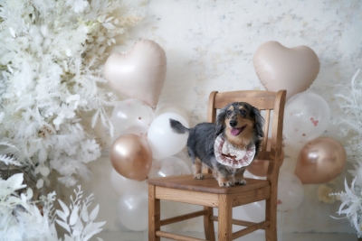 PhotoStudioPARC_tiffany_004