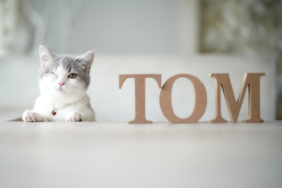 PhotoStudioPARC_tom_005