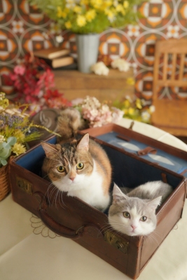 PhotoStudioPARC_tom_013