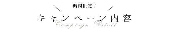 期間限定！キャンペーン内容