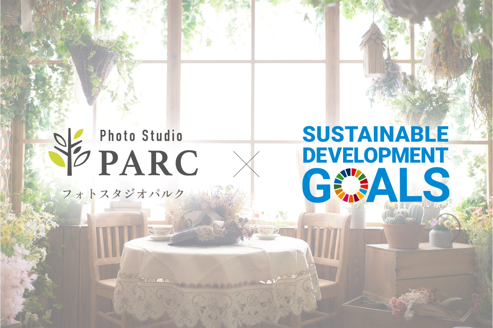 SDGs